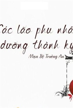 Đọc Truyện Tiểu Thuyết Các Lão Phu Nhân Dưỡng Thành Ký tại doctruyen5s.com