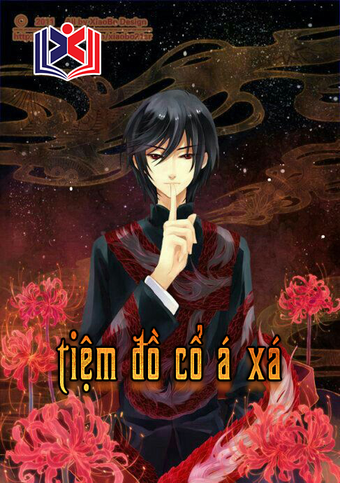 Đọc Truyện Tiểu Thuyết Tiệm Đồ Cổ Á Xá tại doctruyen5s.com